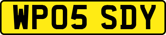 WP05SDY