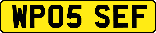 WP05SEF