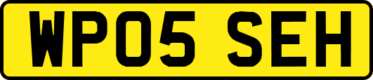 WP05SEH