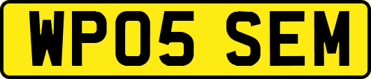 WP05SEM
