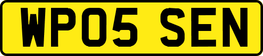 WP05SEN