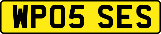 WP05SES