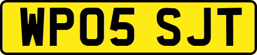 WP05SJT