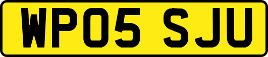 WP05SJU