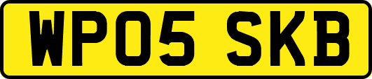 WP05SKB