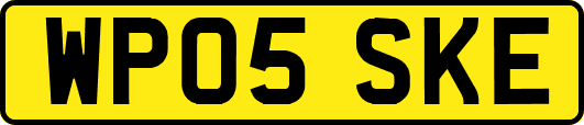 WP05SKE