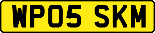 WP05SKM