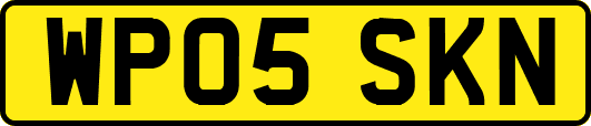 WP05SKN