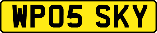WP05SKY
