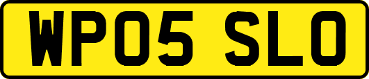 WP05SLO