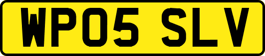 WP05SLV