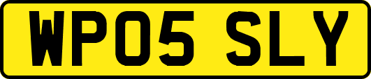 WP05SLY