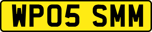 WP05SMM