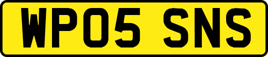 WP05SNS
