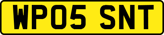 WP05SNT