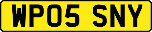 WP05SNY