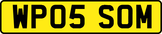 WP05SOM