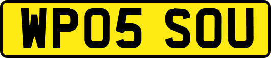 WP05SOU