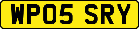 WP05SRY