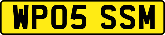 WP05SSM