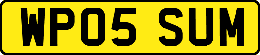 WP05SUM