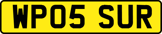 WP05SUR