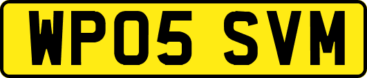 WP05SVM