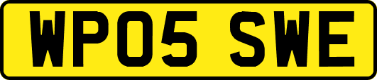 WP05SWE