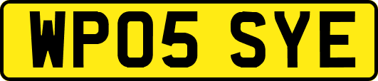 WP05SYE