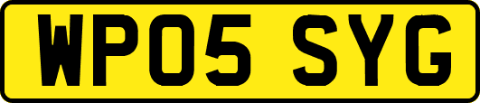 WP05SYG