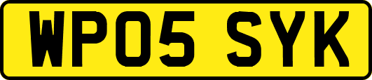WP05SYK
