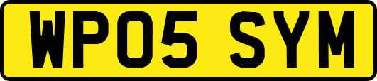 WP05SYM