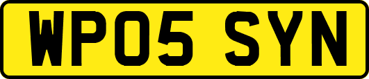 WP05SYN