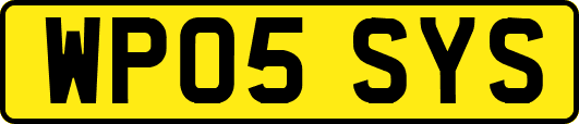 WP05SYS