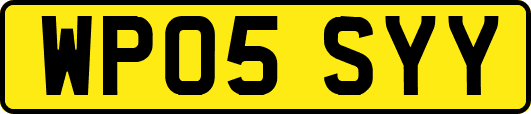 WP05SYY
