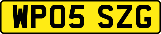 WP05SZG