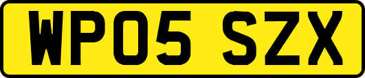 WP05SZX
