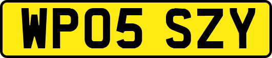 WP05SZY