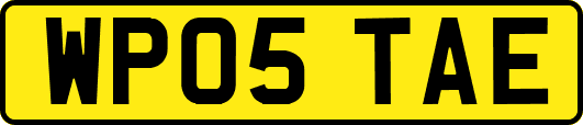 WP05TAE