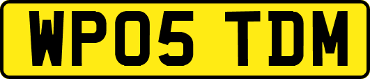 WP05TDM