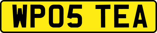 WP05TEA