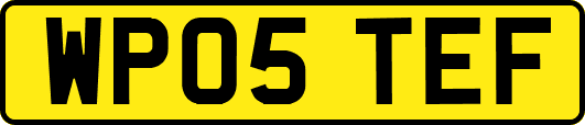 WP05TEF