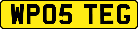 WP05TEG
