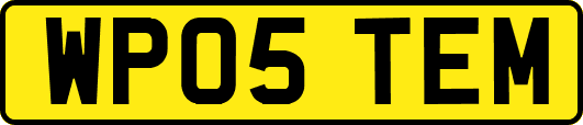 WP05TEM