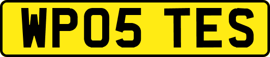 WP05TES