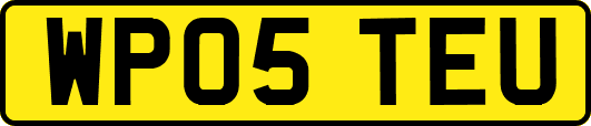 WP05TEU