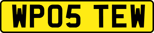 WP05TEW