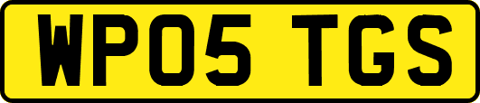 WP05TGS