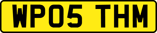 WP05THM