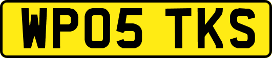 WP05TKS